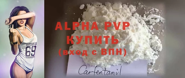мяу мяу мука Белокуриха