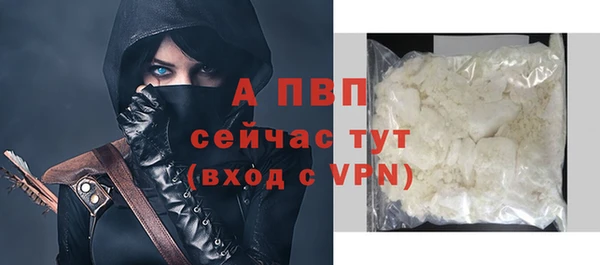 мяу мяу мука Белокуриха