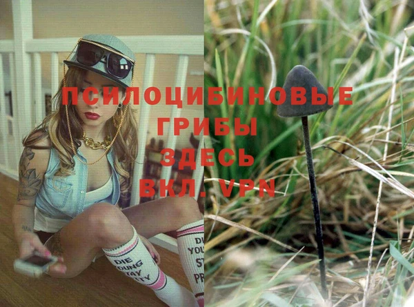 мяу мяу мука Белокуриха