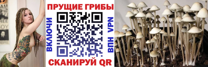 Галлюциногенные грибы ЛСД  Верея 